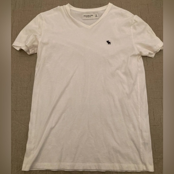 Abercrombie & Fitch Moose Logo Plain V-Neck T-Shirt L - Picture 1 of 3